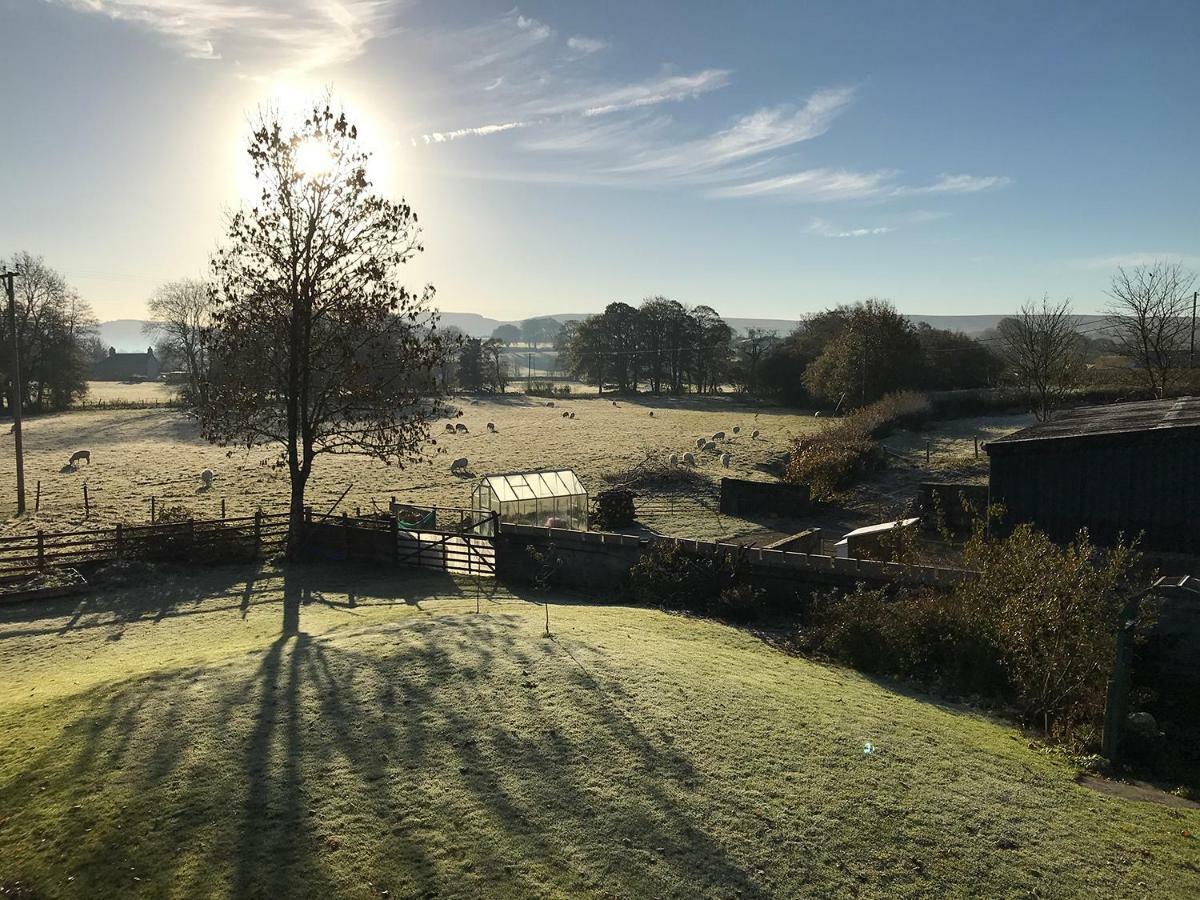 Maesyfelin Isaf B&B Llanybyther Exteriör bild