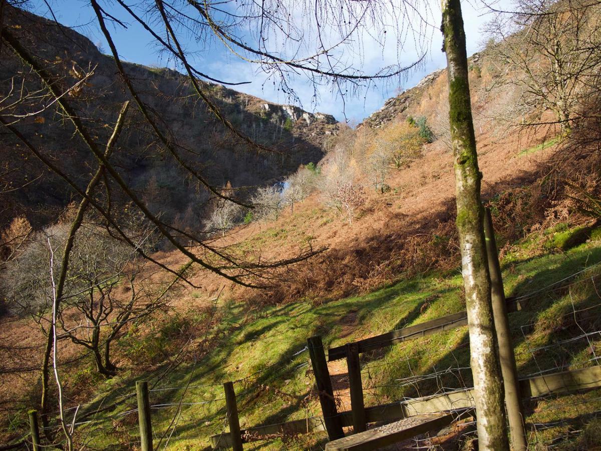 Maesyfelin Isaf B&B Llanybyther Exteriör bild