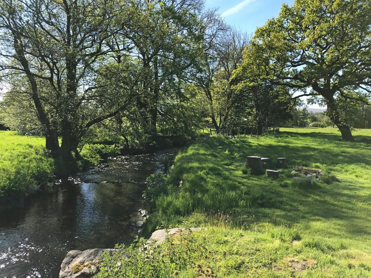 Maesyfelin Isaf B&B Llanybyther Exteriör bild