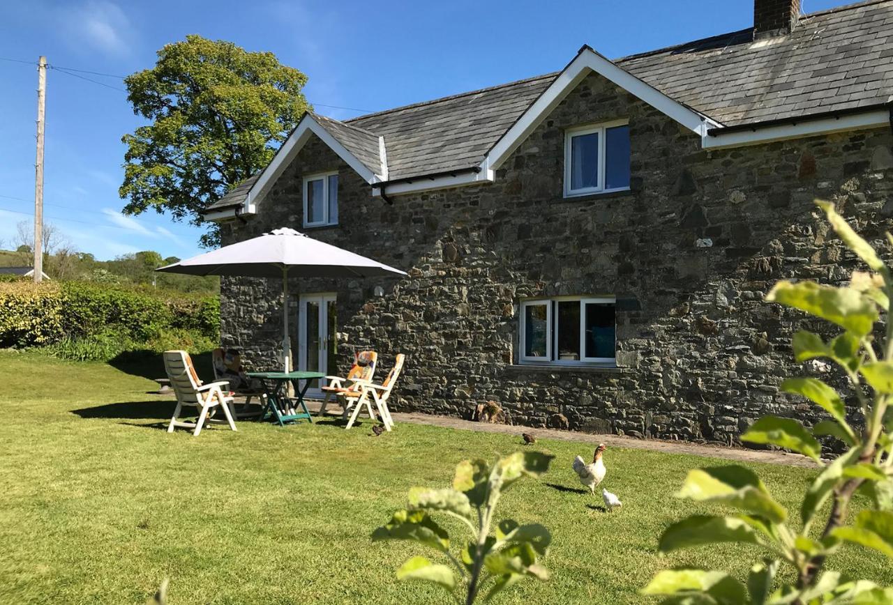 Maesyfelin Isaf B&B Llanybyther Exteriör bild