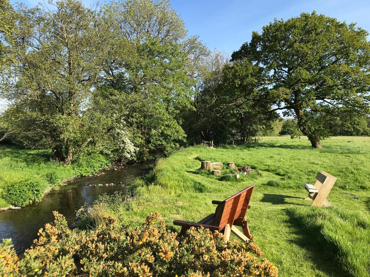 Maesyfelin Isaf B&B Llanybyther Exteriör bild